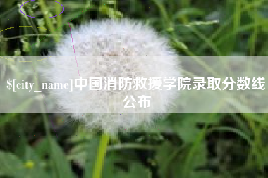 肇东中国消防救援学院录取分数线公布