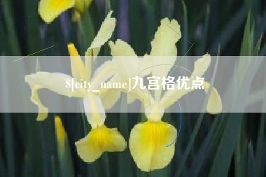 肇东九宫格优点