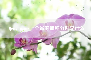 肇东34个省的简称分别是什么