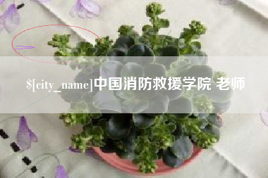 肇东中国消防救援学院 老师