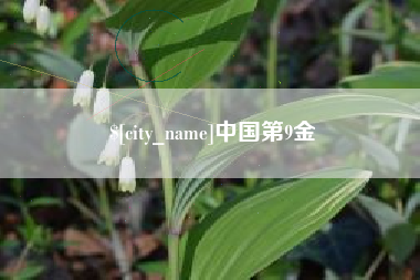 肇东中国第9金