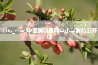 肇东中国消防官网中小学消防公开课
