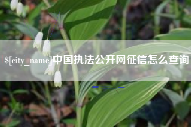 肇东中国执法公开网征信怎么查询