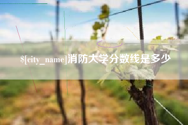 肇东消防大学分数线是多少