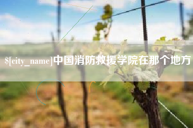 肇东中国消防救援学院在那个地方