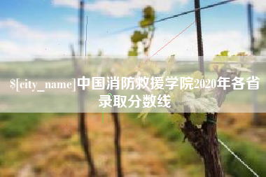 肇东中国消防救援学院2020年各省录取分数线