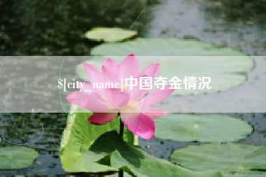 肇东中国夺金情况