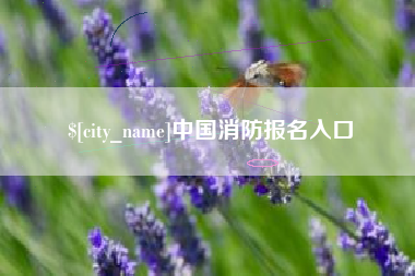 肇东中国消防报名入口