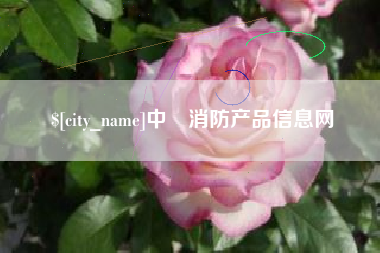 肇东中囯消防产品信息网