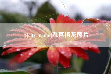 肇东九宫格龙图片