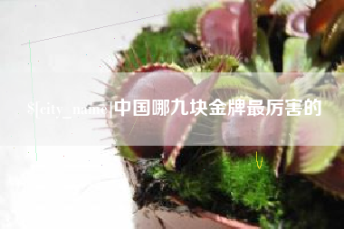 肇东中国哪九块金牌最厉害的