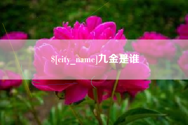 肇东九金是谁