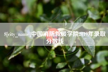 肇东中国消防救援学院2019年录取分数线