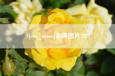 肇东金牌图片2021