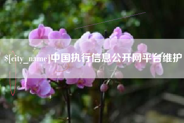 肇东中国执行信息公开网平台维护