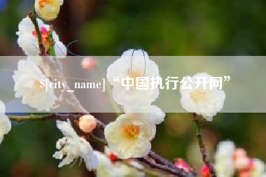 肇东“中国执行公开网”