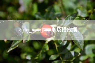 肇东5000米及格成绩