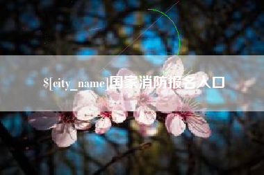 肇东国家消防报名入口
