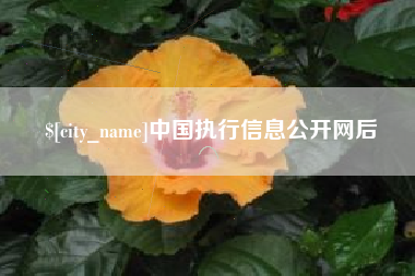 肇东中国执行信息公开网后