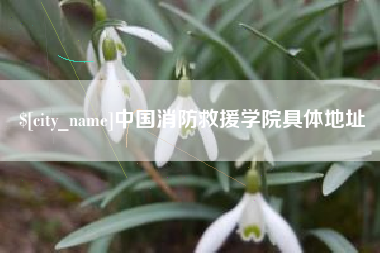 肇东中国消防救援学院具体地址