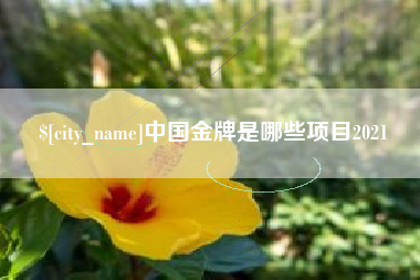 肇东中国金牌是哪些项目2021