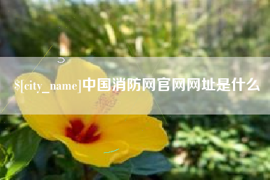 肇东中国消防网官网网址是什么