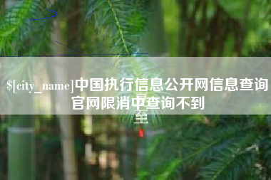肇东中国执行信息公开网信息查询官网限消中查询不到