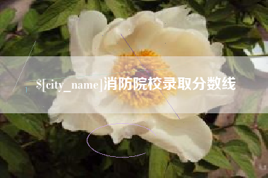 肇东消防院校录取分数线