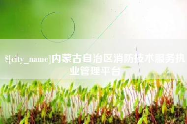 肇东内蒙古自治区消防技术服务执业管理平台