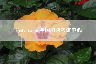 肇东全国消防考试中心