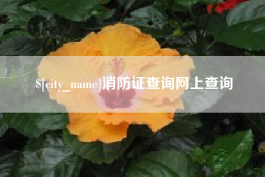 肇东消防证查询网上查询