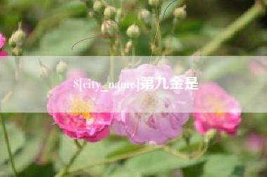 肇东第九金是