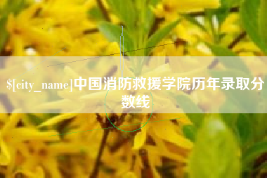 肇东中国消防救援学院历年录取分数线