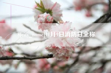 肇东11月9日消防日全称