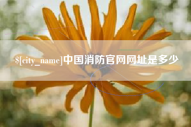 肇东中国消防官网网址是多少