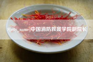 肇东中国消防救援学院副院长