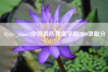 肇东中国消防救援学院2020录取分