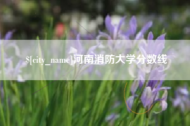 肇东河南消防大学分数线