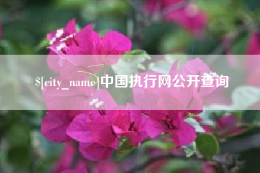 肇东中国执行网公开查询
