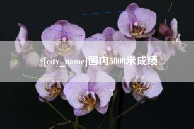 肇东国内5000米成绩