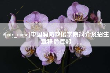 肇东中国消防救援学院简介及招生章程指挥部