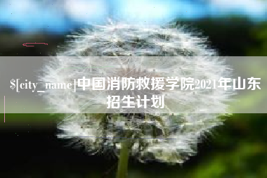 肇东中国消防救援学院2021年山东招生计划