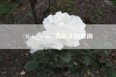 肇东消防证的查询