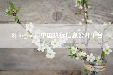 肇东中国执行信息公开平台