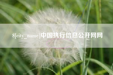 肇东中国执行信息公开网网