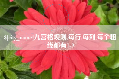 肇东九宫格规则,每行,每列,每个粗线都有1-9
