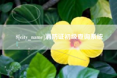 肇东消防证初级查询系统