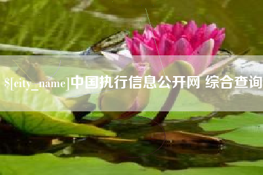 肇东中国执行信息公开网 综合查询
