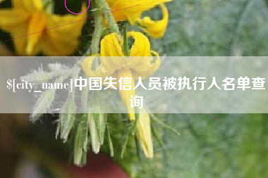 肇东中国失信人员被执行人名单查询