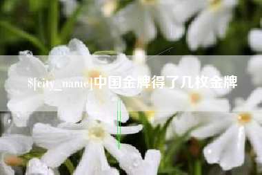 肇东中国金牌得了几枚金牌